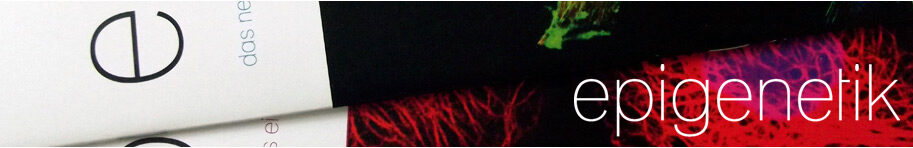 Newsletter Epigenetik