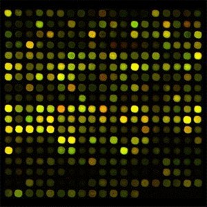 microarray